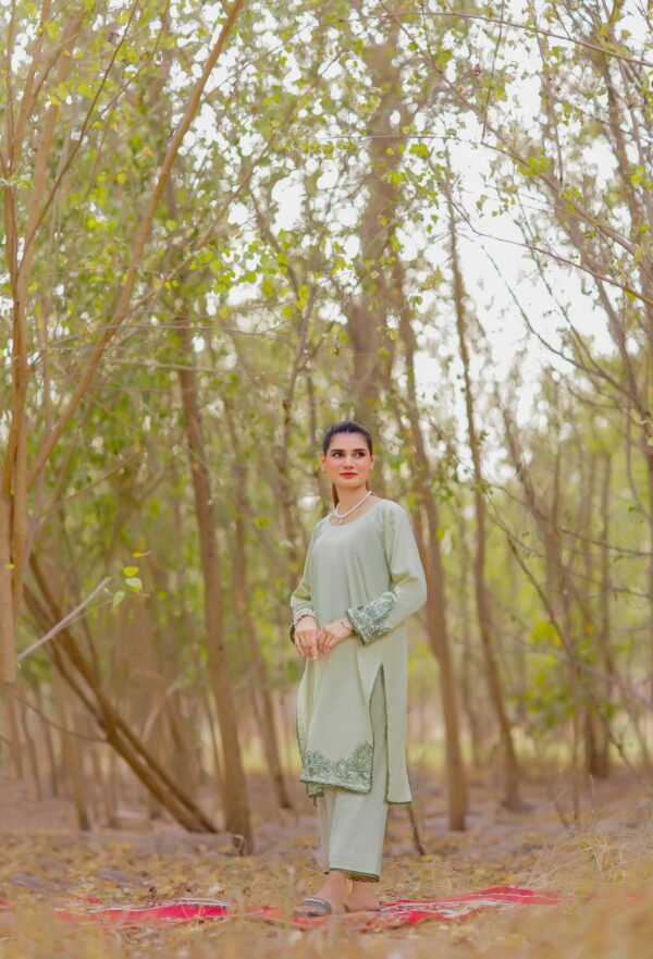 Mint Green 2-Piece Embroidered Lawn Suit - Image 2