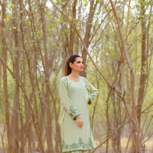 Mint Green 2-Piece Embroidered Lawn Suit