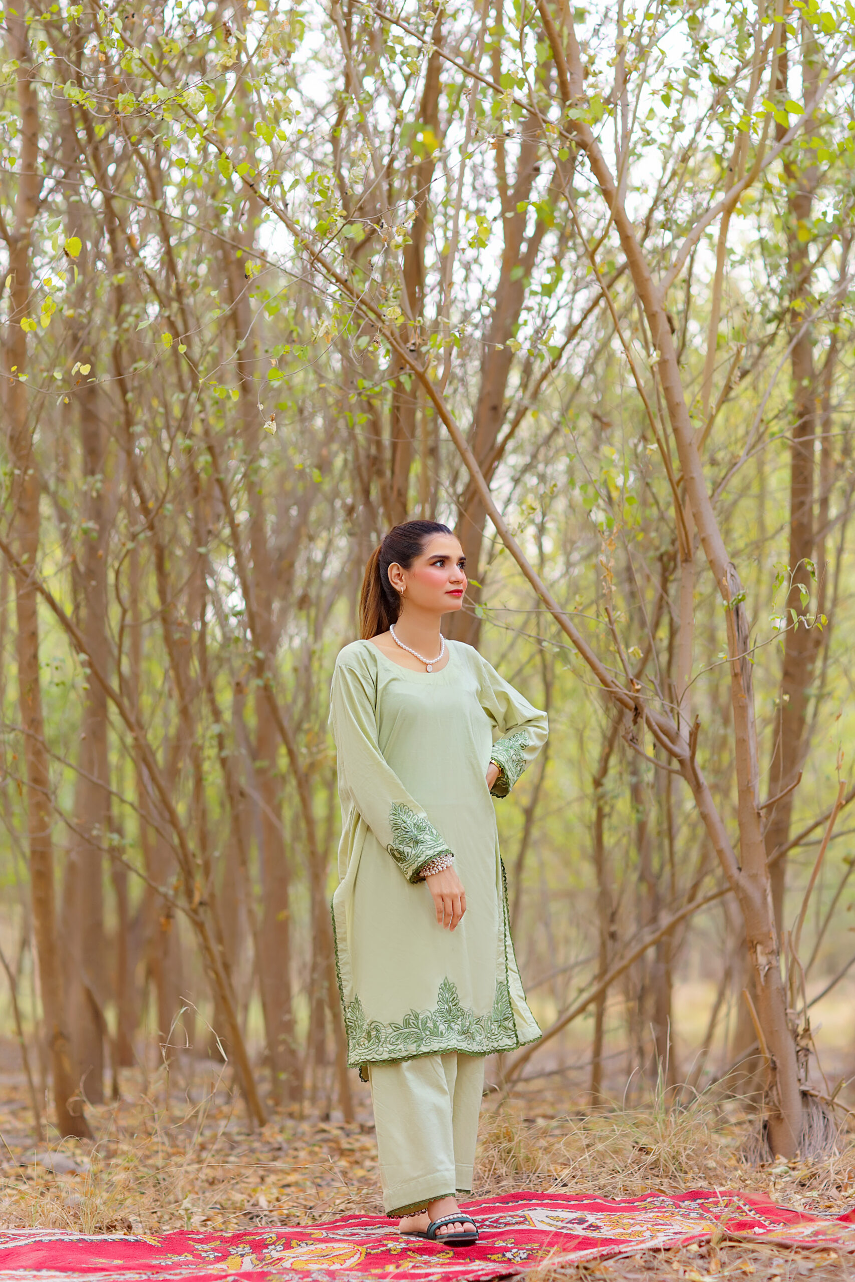 Mint Green 2-Piece Embroidered Lawn Suit