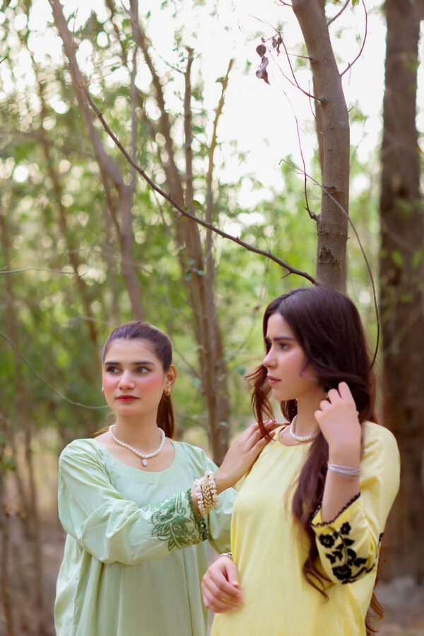 Mint Green 2-Piece Embroidered Lawn Suit - Image 3