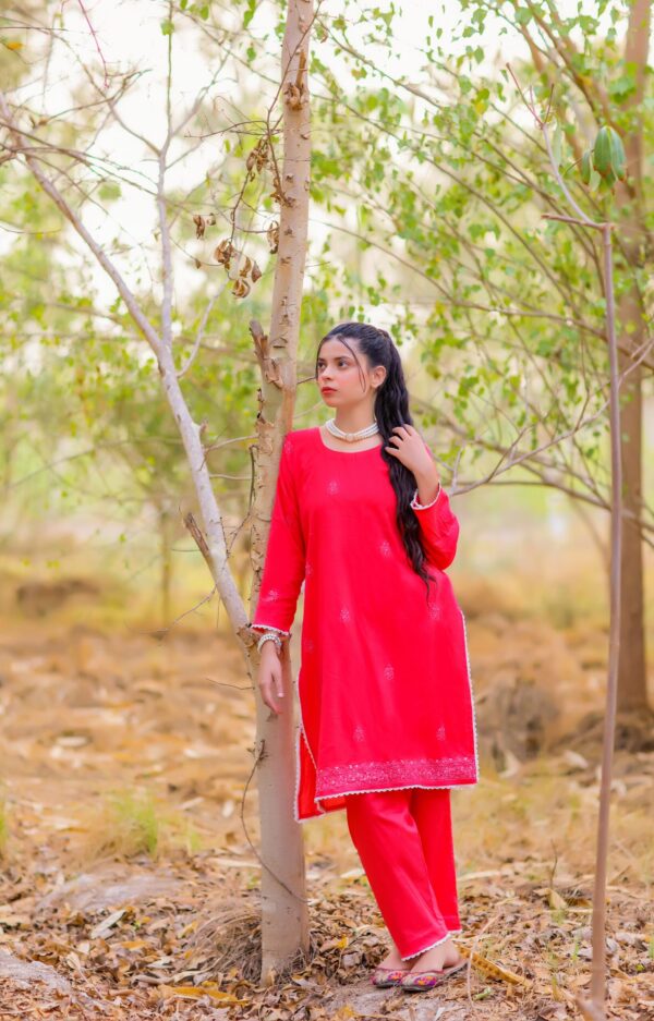 Red Embroidered 2-Piece Lawn Suit - Image 2