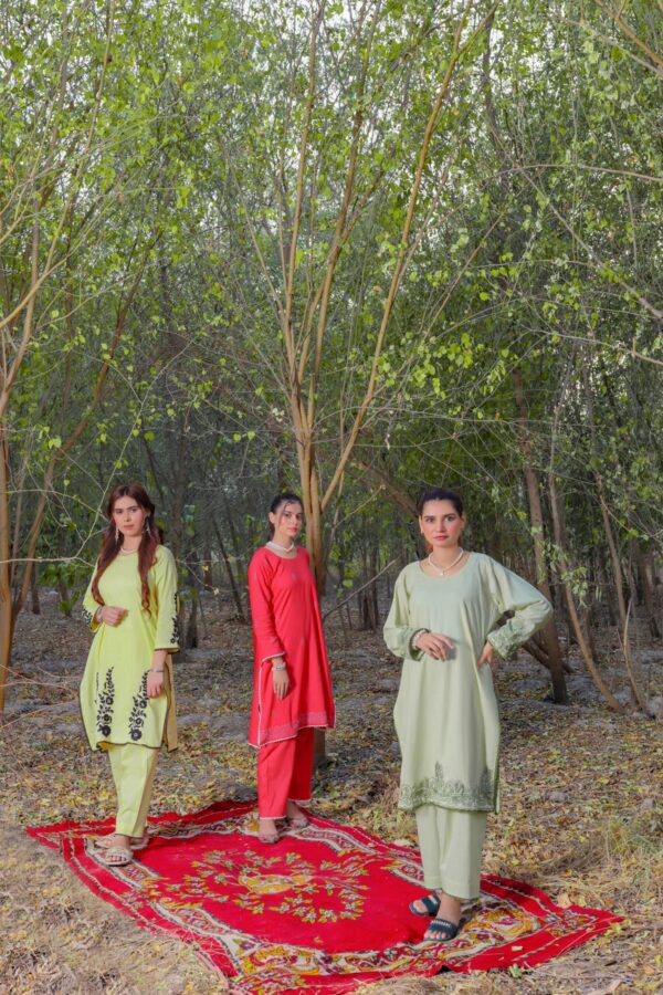 Mint Green 2-Piece Embroidered Lawn Suit - Image 4