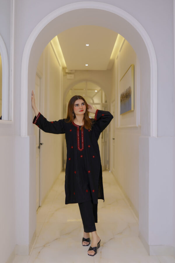 Black & Red Stitched 2-Piece with Ethnic Embroidery
